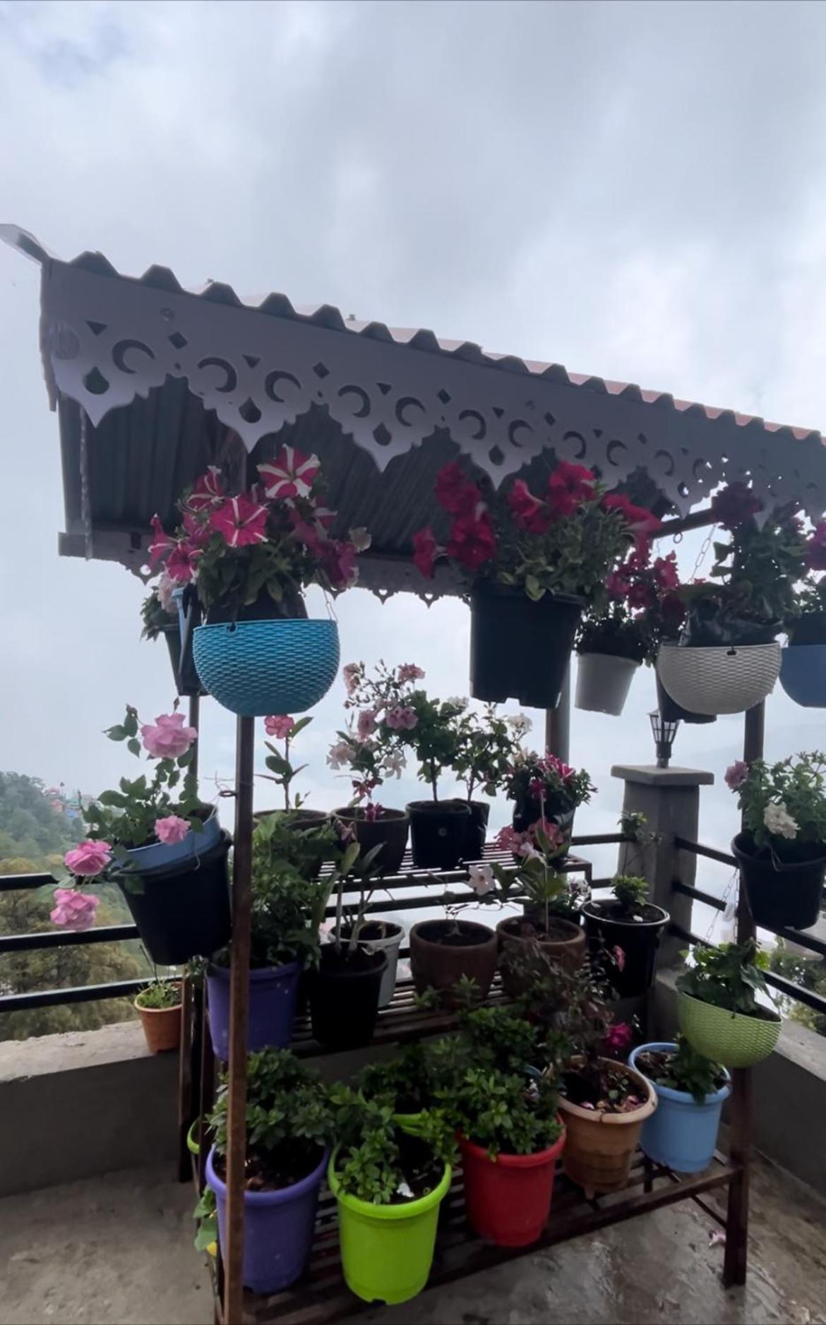 Shalom Inn Home Stay Darjeeling (West Bengal) Exterior foto